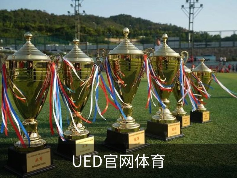 UED官网体育概况